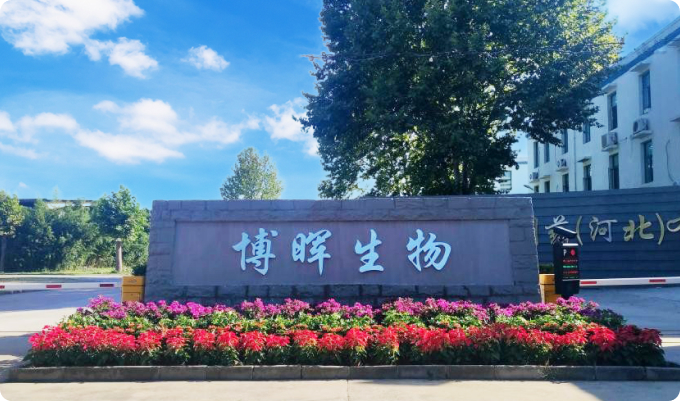 博暉生物制藥(河北)有限公司
