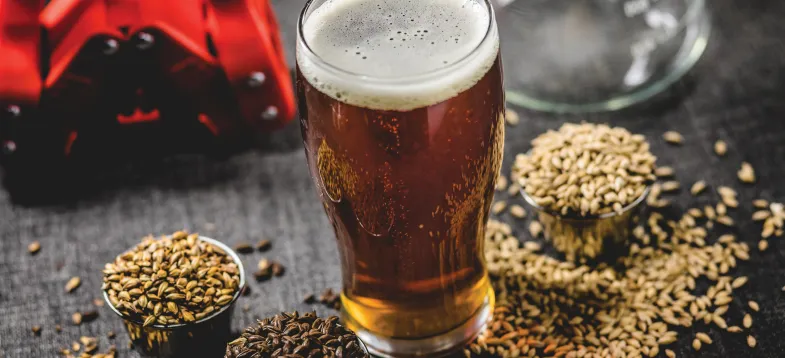  啤酒發(fā)酵過程大揭秘！vAPCI+CMS 聯(lián)用新技術(shù)如何快速捕捉風(fēng)味密碼？